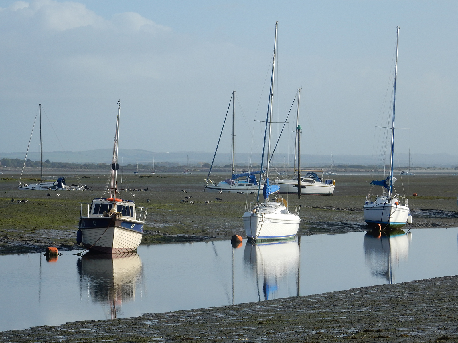 3rd Place - Sarah Whitfield - Low Tide at MRSC